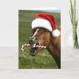 Funny Christmas horse with Santa hat smiling Karte