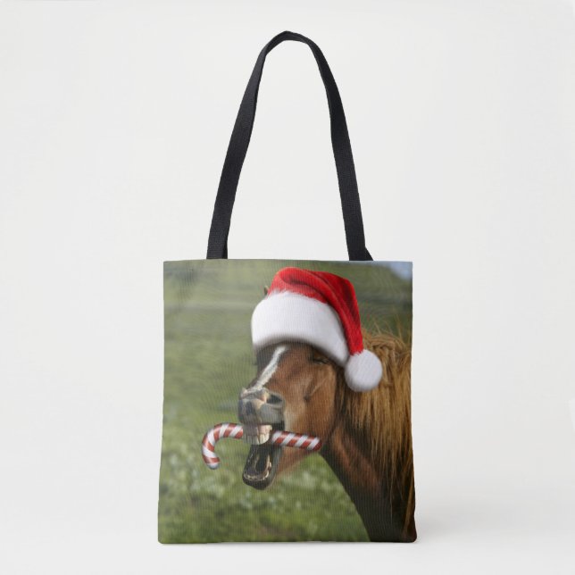 Funny Christmas horse with Santa Smiling (Vorderseite)