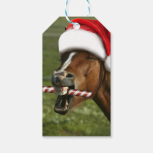 Funny Christmas horse with Santa Smiling Geschenkanhänger