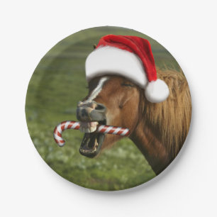 Funny Christmas horse with Santa Smiling Pappteller