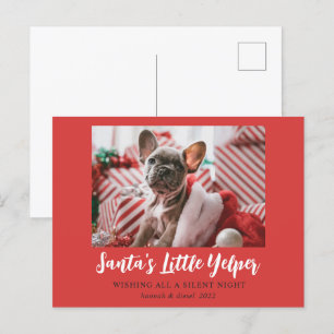 Funny Christmas Niedlich Pet Foto Red White Feiertagspostkarte