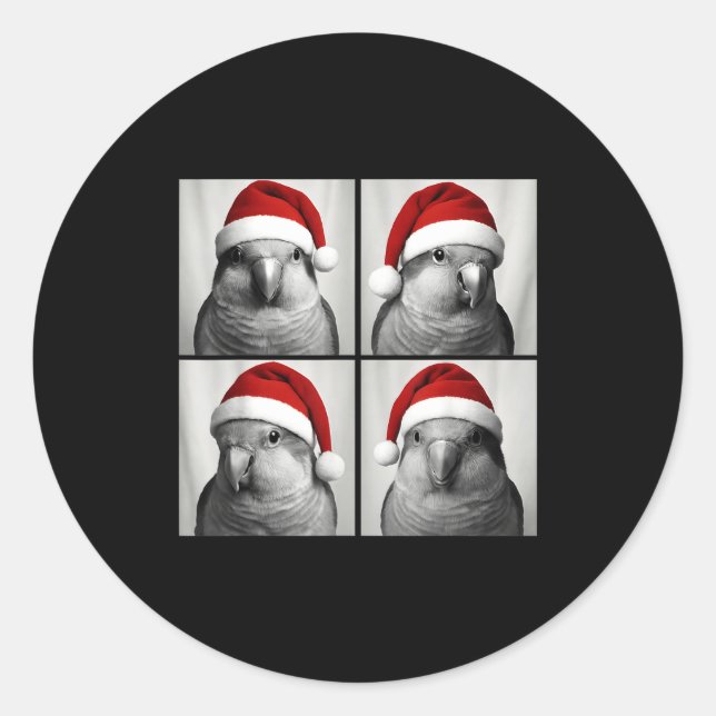 Funny Christmas Quaker Parrot Santa Photo Booth  Runder Aufkleber (Vorderseite)