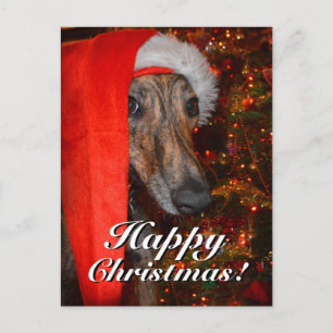 Funny Christmas Santa Greyhound Lurcher Feiertagspostkarte