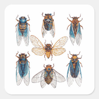 Funny Cicadas Insect Bug Graphic Cicada Lover Quadratischer Aufkleber