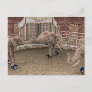 Funny Circus Elephants Postkarte