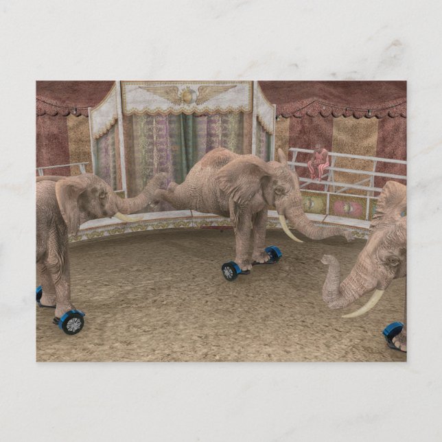 Funny Circus Elephants Postkarte (Vorderseite)