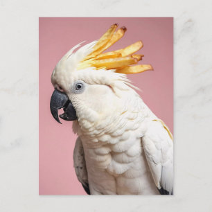 Funny Cockatoo mit französischem Wappen Postkarte