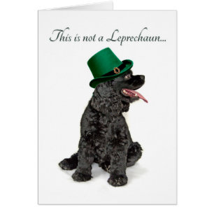 Funny Cocker Spanisch Leprechaun Card