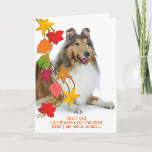 Funny Collie Erntedank Card Feiertagskarte
