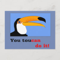 Funny Comic Cartoon Toucan Vogel Witz Beat Liner