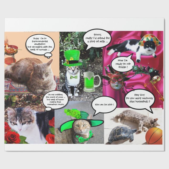 FUNNY COMIC STRIPS VON WEIRD TALKING CATKS GESCHENKPAPIER (Flach)