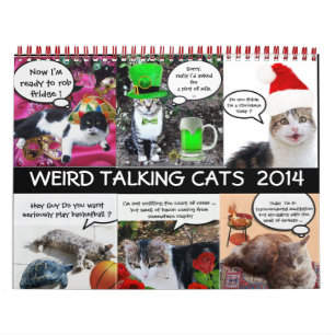 FUNNY COMIC STRIPS VON WEIRD TALKING CATS 2014 KALENDER