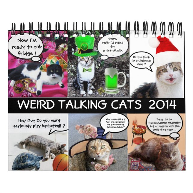 FUNNY COMIC STRIPS VON WEIRD TALKING CATS 2014 KALENDER (Titelbild)