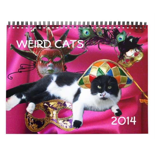 FUNNY COMIC STRIPS VON WEIRD TALKING CATS 2014 KALENDER (Titelbild)