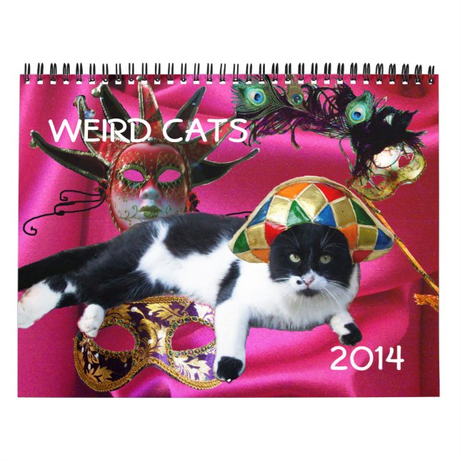 FUNNY COMIC STRIPS VON WEIRD TALKING CATS 2014 KALENDER (Titelbild)