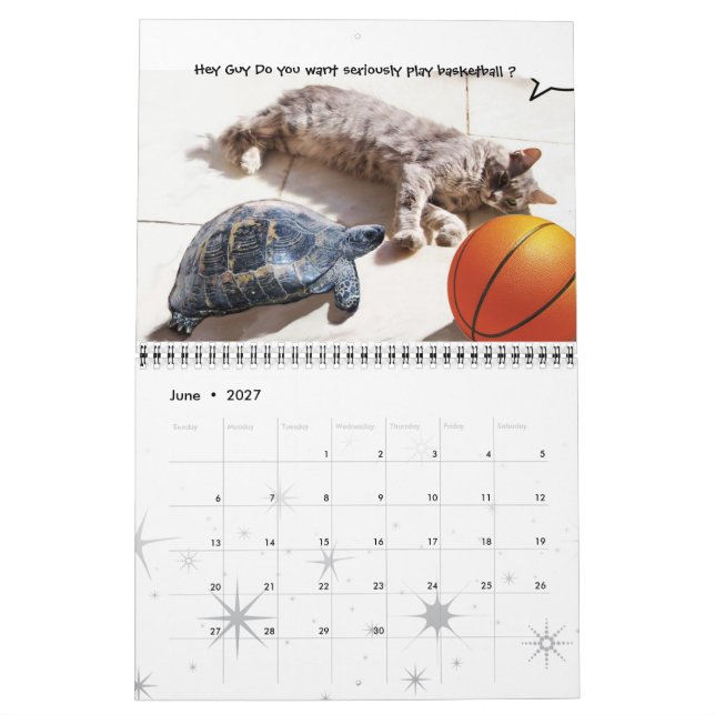 FUNNY COMIC STRIPS VON WEIRD TALKING CATS 2015 KALENDER (Jun 2027)