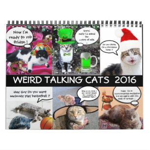 FUNNY COMIC STRIPS VON WEIRD TALKING CATS 2016 KALENDER
