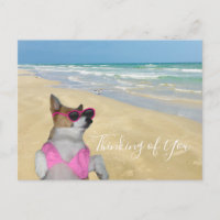 Funny Corgi am Strand von Bikini