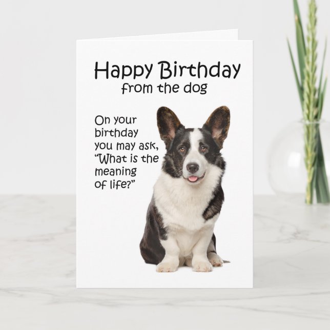 Funny Corgi Birthday Card Karte (Vorderseite)