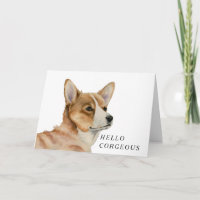 Funny Corgi Dog Pun | Hallo Corgeous