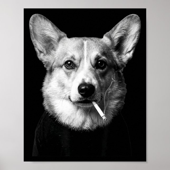 Funny corgi dog smoking meme smoking dog cigarette poster (Vorne)