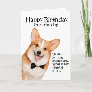 Funny Corgi Geburtstagskarte Dankeskarte