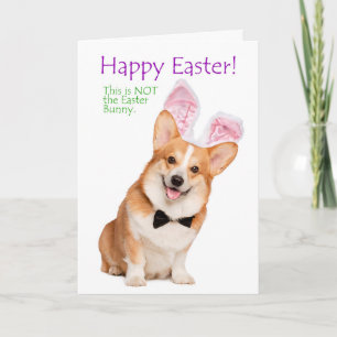 Funny Corgi Osterkarte Karte
