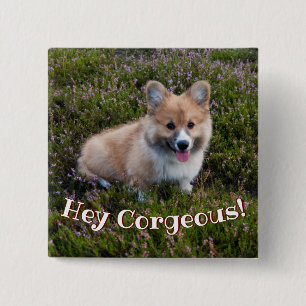 Funny Corgi Puppy Button
