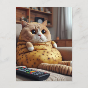 Funny Couch Potato Cat Postkarte