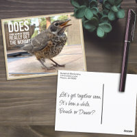Funny Cover Text Bird Foto