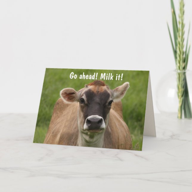 Funny Cow Birthday Karte (Vorderseite)