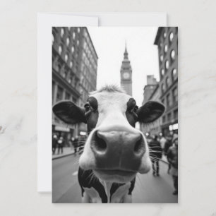 Funny Cow Selfie an der belebten City Street Einladung