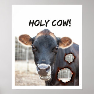 funny cow wall art poster