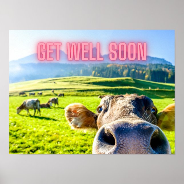Funny Cow wird bald gut Poster (Vorne)