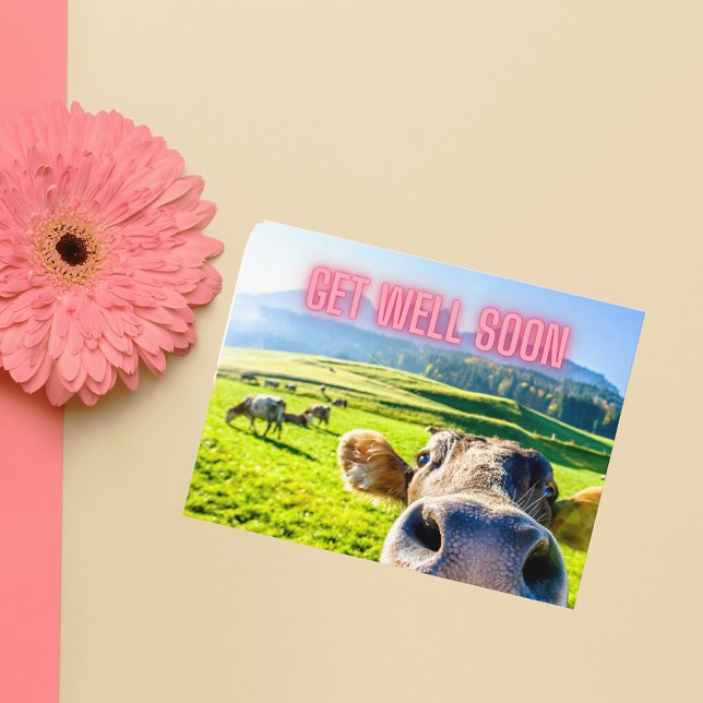 Funny Cow wird bald gut Postkarte (These postcards are thick stock, making them perfect for framing and adding to a bedside table!)