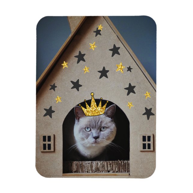 Funny Crabby Grumpy Cat Fotografie Niedlich Cat Lo Magnet (Vertikal)