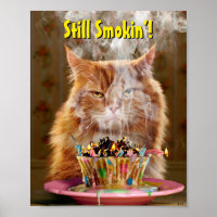 Funny Cranky Cat mit geschmolzenem Geburtstagskuch