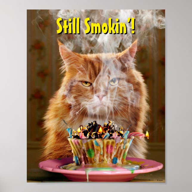 Funny Cranky Cat mit geschmolzenem Geburtstagskuch Poster (Vorne)