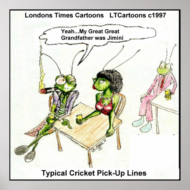 Funny Cricket Pick-Up Line Poster (Vorne)