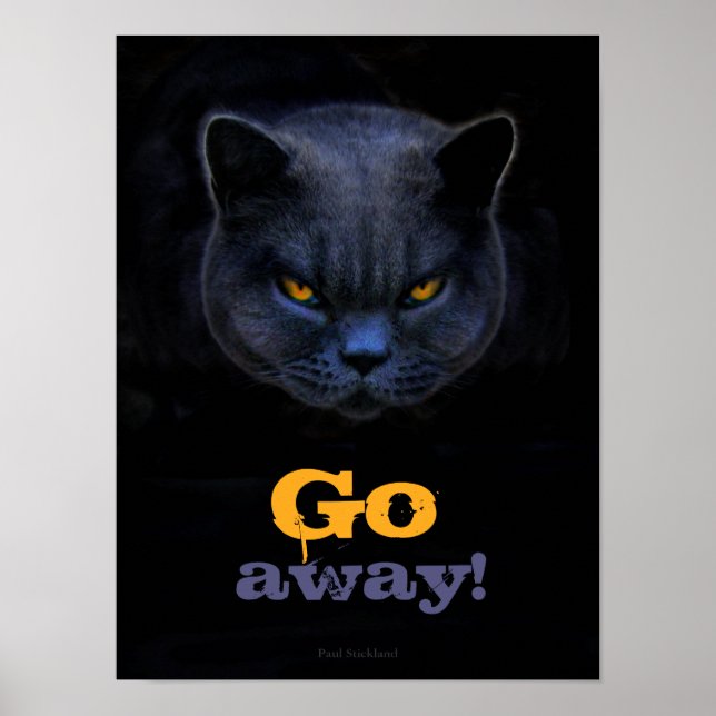 Funny Cross Cat sagt "Go Away Poster (Vorne)
