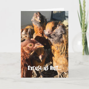 Funny Curious Amber Brown Chickens Nah-Up Foto Karte