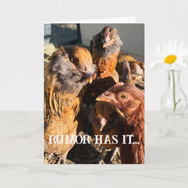 Funny Curious Amber Brown Chickens Nah-Up Foto Karte (Kleine Pflanze)