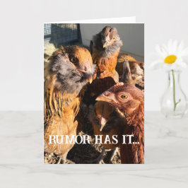 Funny Curious Amber Brown Chickens Nah-Up Foto Karte