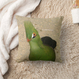 Funny Curry Guinea Turaco Green Bird Kissen