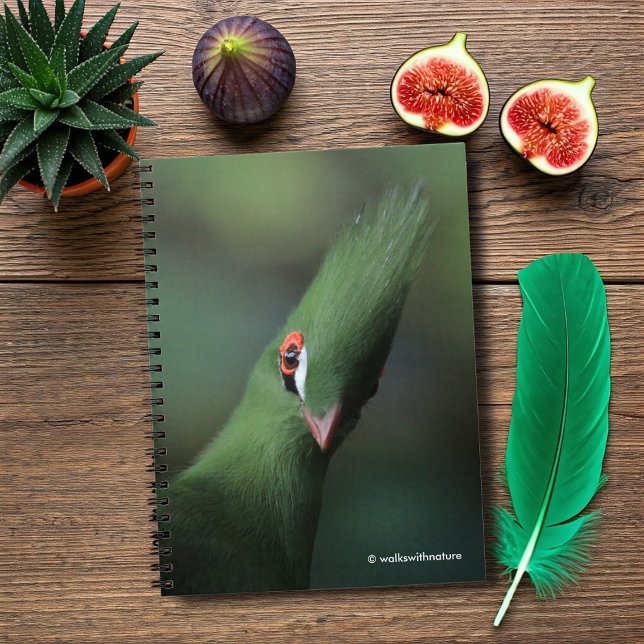 Funny Curry Guinea Turaco Green Bird Notizblock (Funny and Curious Guinea Turaco Journal Cover Photo)