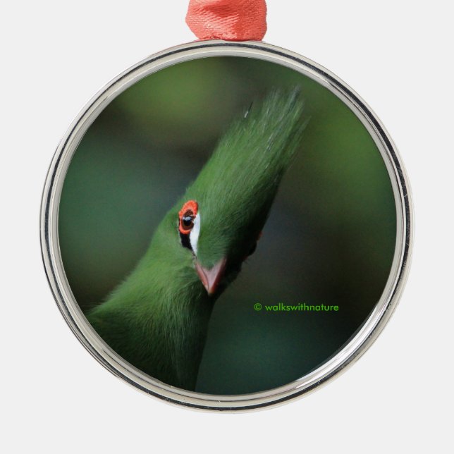 Funny Curry Guinea Turaco Green Bird Ornament Aus Metall (Vorne)