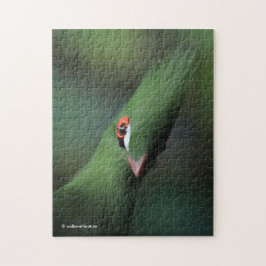 Funny Curry Guinea Turaco Green Bird Puzzle