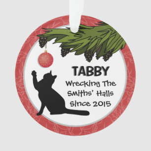 Funny Custom Cat und Eigentümer Name Red Christmas Ornament