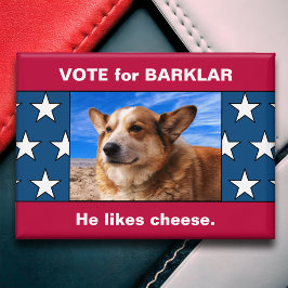 Funny Custom Dog Präsident Wahlkampagne Foto Button