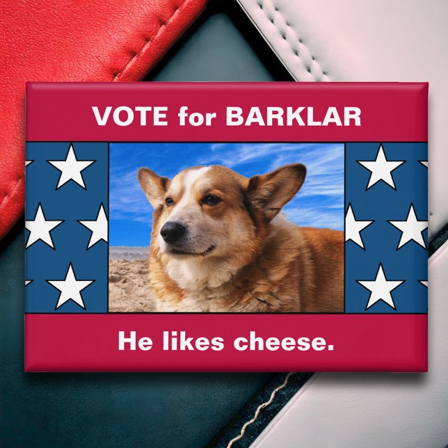Funny Custom Dog Präsident Wahlkampagne Foto Button (Funny Custom Dog Photo 2024 Presidential Election Campaign Button Non Partisan Political Humor)